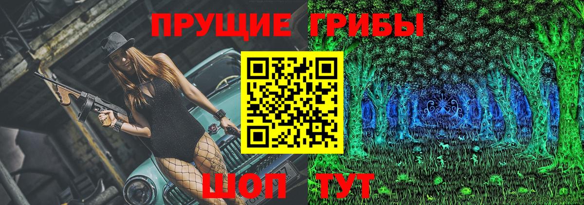 Псилоцибиновые грибы Cubensis  сколько стоит  Пятигорск  Вход с VPN 