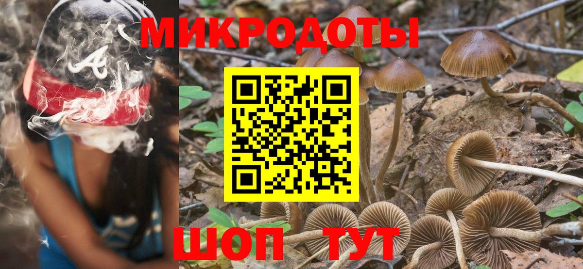 Галлюциногенные грибы Cubensis Пятигорск
